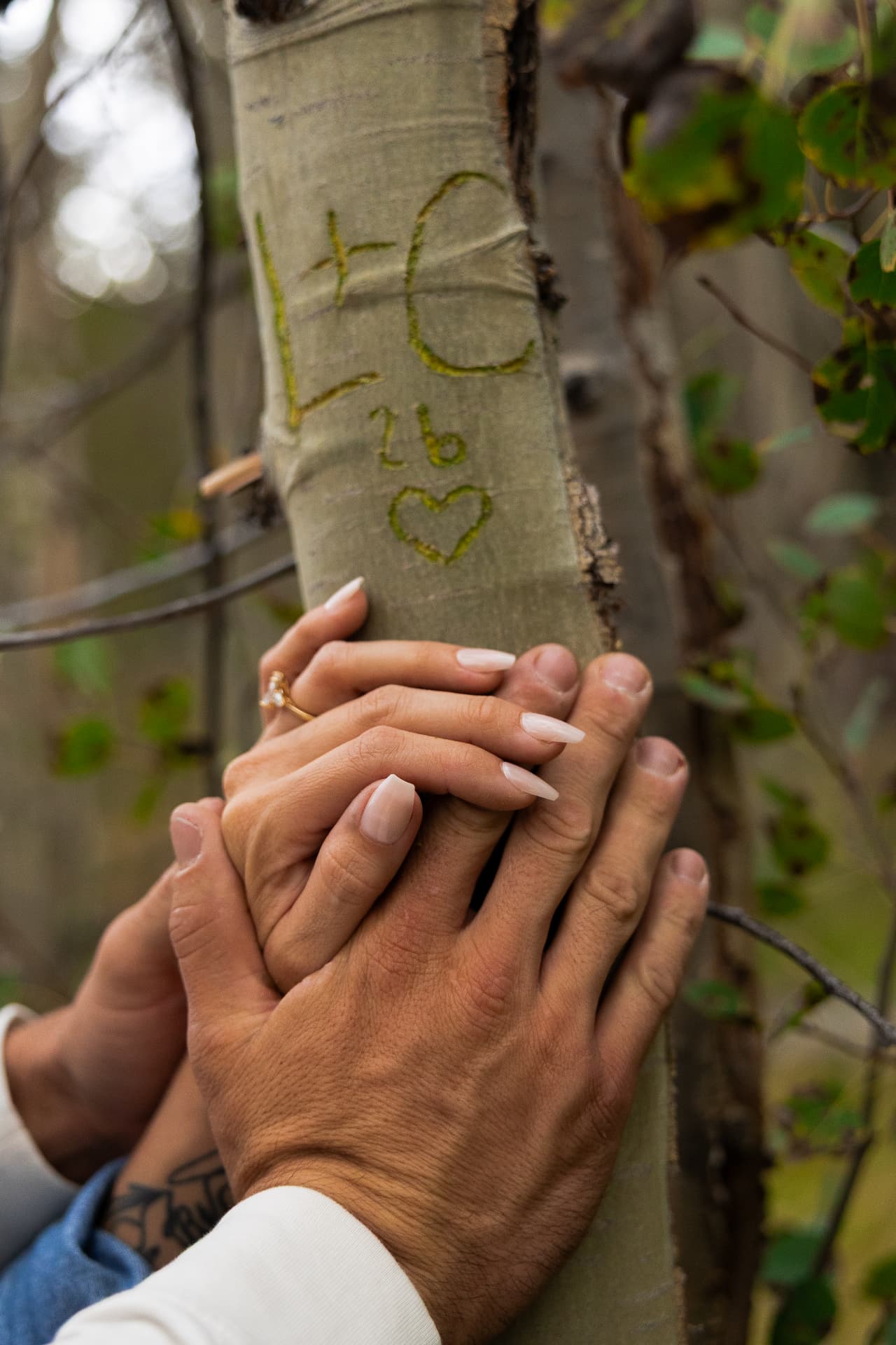 Couple holding hands against an aspen tree carved with their initials, a heart, and the year, her engagement ring in view
